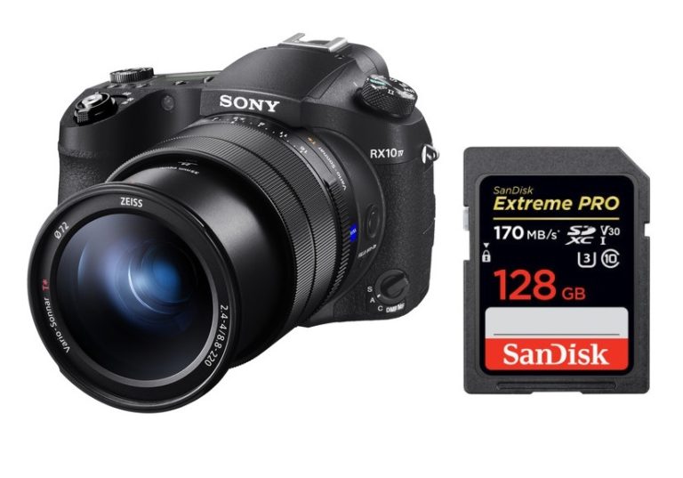 Best Memory Cards For Sony RX10 IV Camera Times