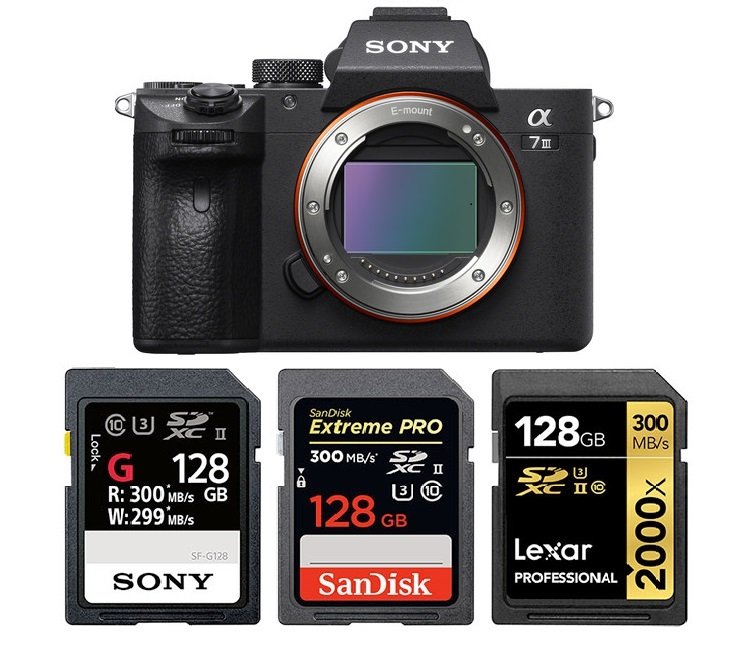Best Memory Cards for Sony - Camera Times